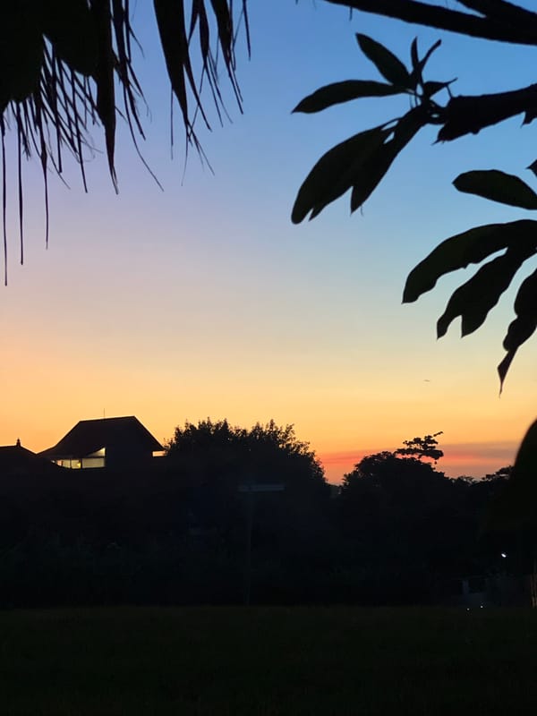 Domestic animals spotted in North Kuta residential area