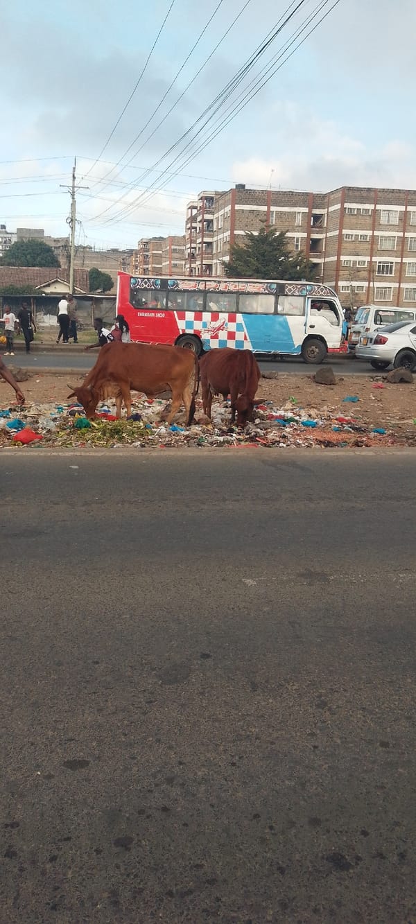 Early morning street life documented in Nairobi