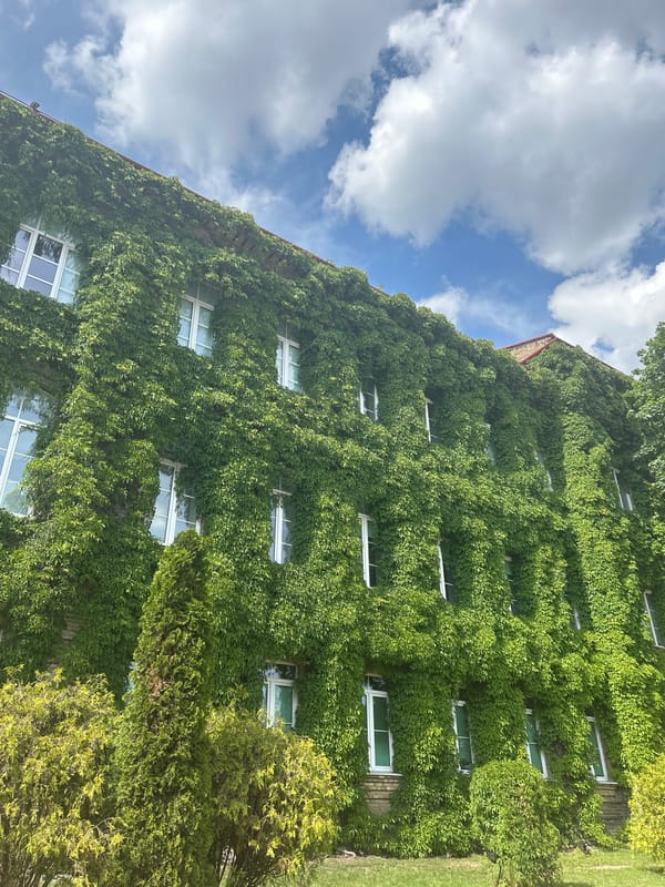 Historic European streetscapes: ivy, murals, cobblestones, and blooming planters