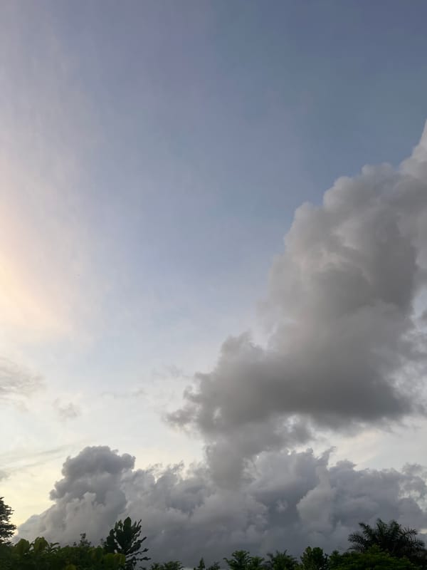 Storm clouds gather over rural dirt path