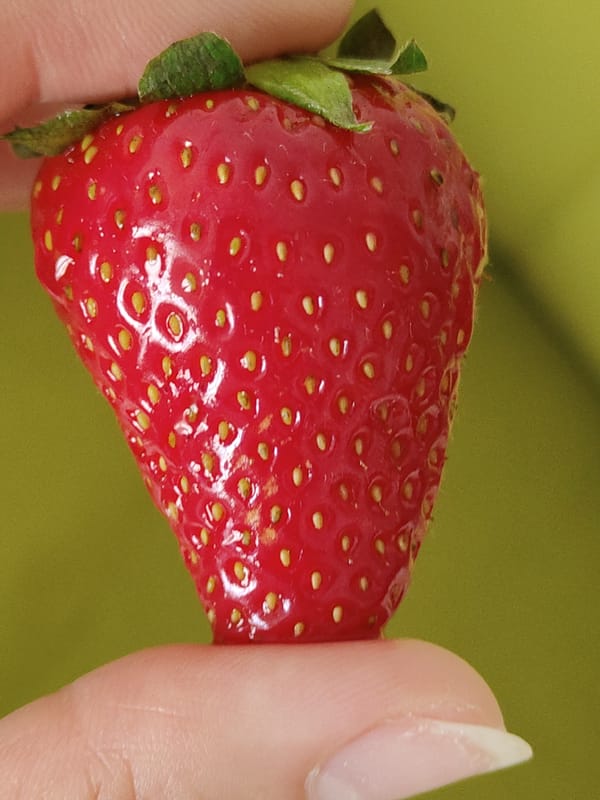 Person documents fresh strawberries and takes Moscow selfie morning
