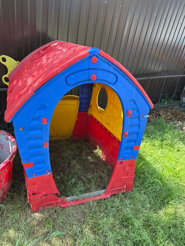 Backyard packed with play equipment, overgrown corners, and blooms