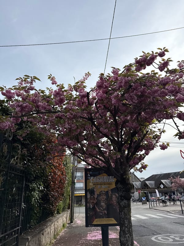 Morning documentation of street conditions in Domont, France