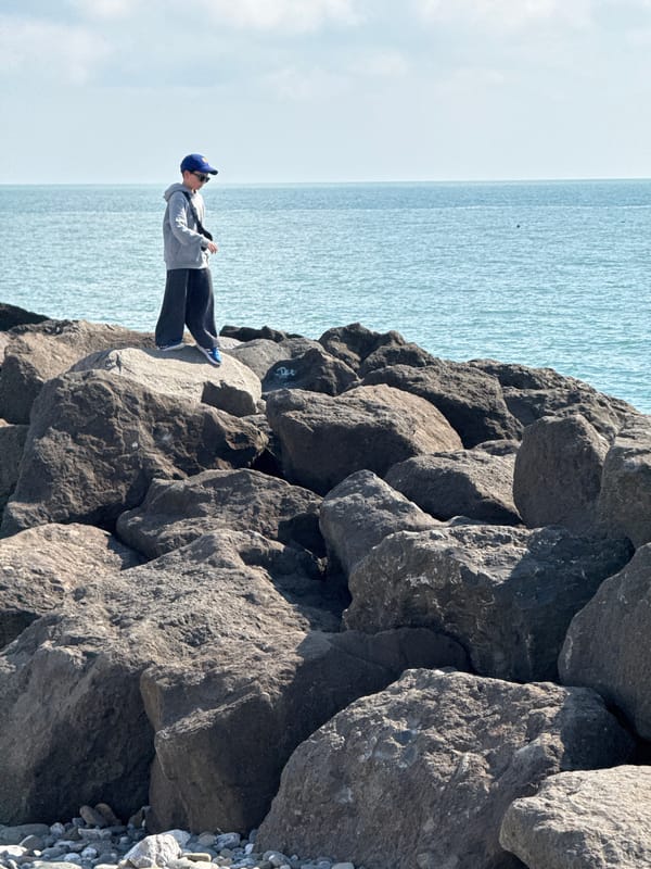 Person stands on rocks by tranquil waters in Sirius