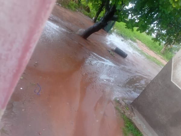 Flooding and muddy conditions documented at rural location