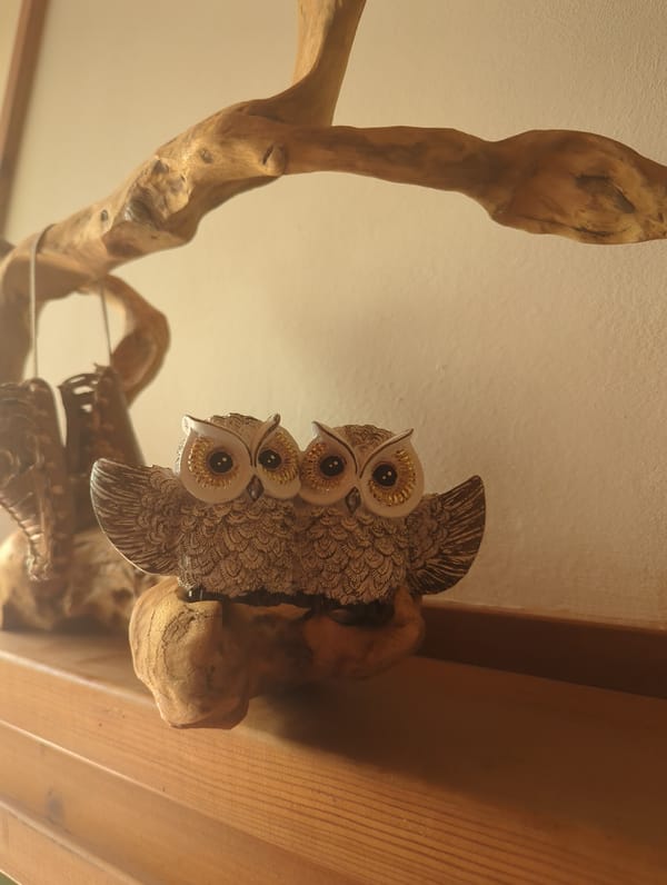 Morning domestic scenes documented in Septemvri home