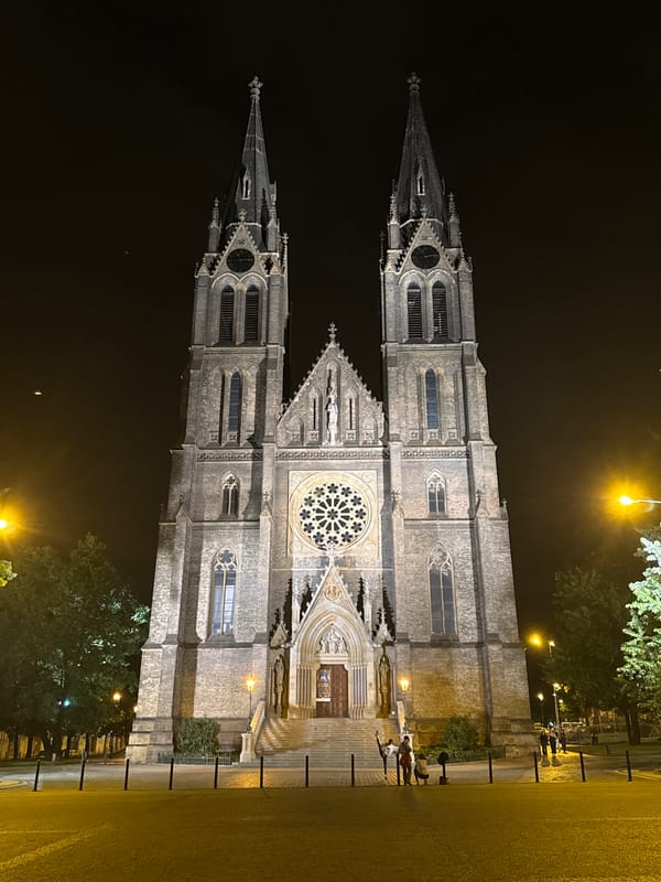 Vyšehrad basilica glowing under night lights in Prague