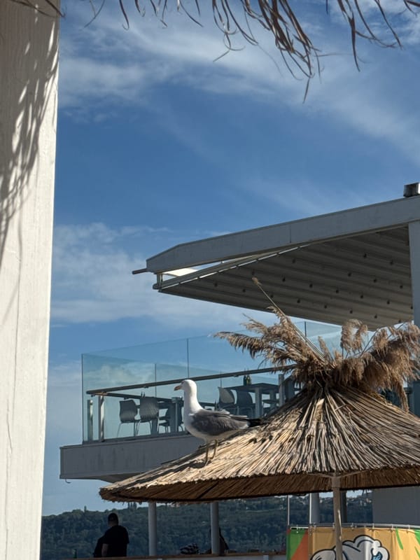 Lazy afternoon on the Black Sea coast in Varna