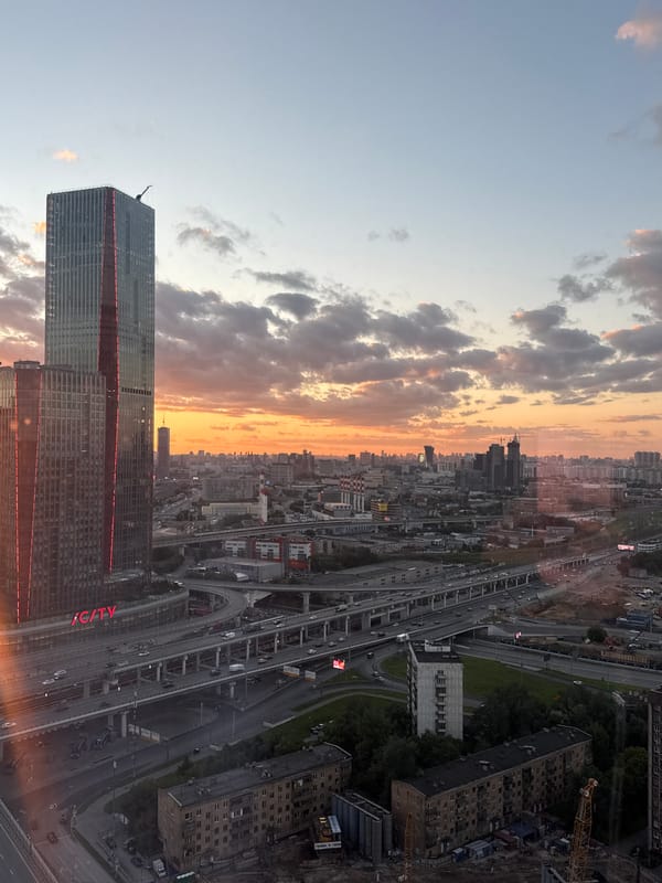 Sunset skyline and a resting dog in Khimki