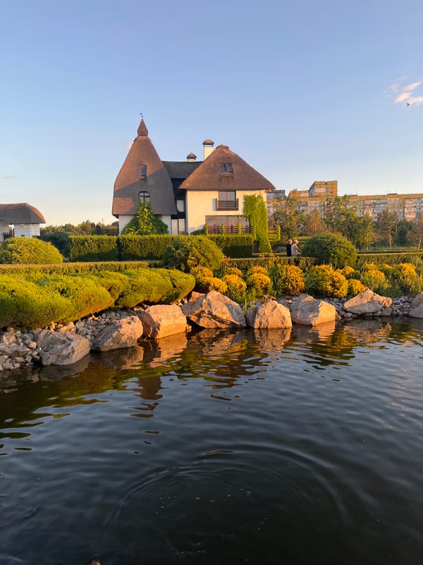 Dnipro park at golden hour: swans, geese, and waterfront paths
