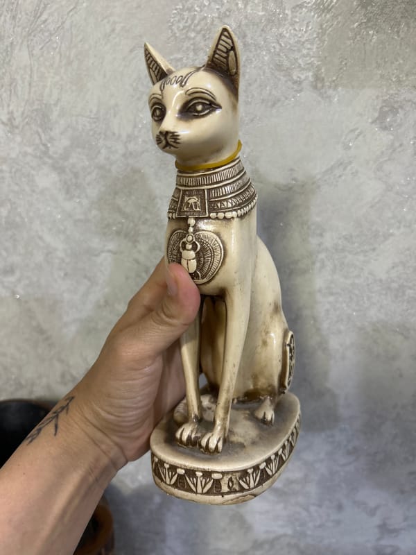 Afternoon at home with collectibles, art, and a sleepy dog
