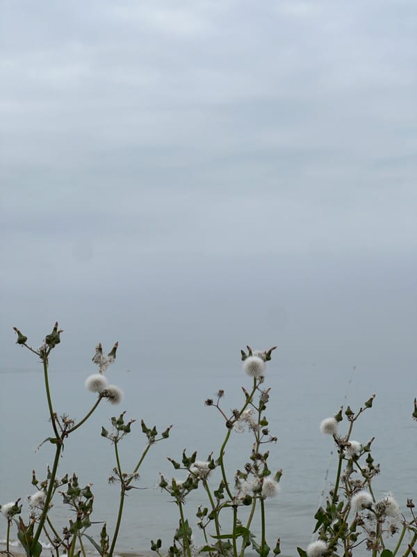 Overcast afternoon documented along M'Diq Morocco coastline