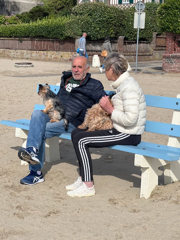 Afternoon life documented across Trouville-sur-Mer's beaches and pools