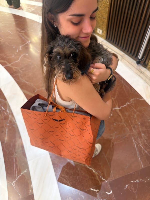 Afternoon in Milan with a wire-haired dachshund in tow