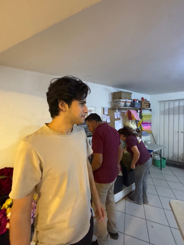 Late night activity documented at Puebla workshop and flower market