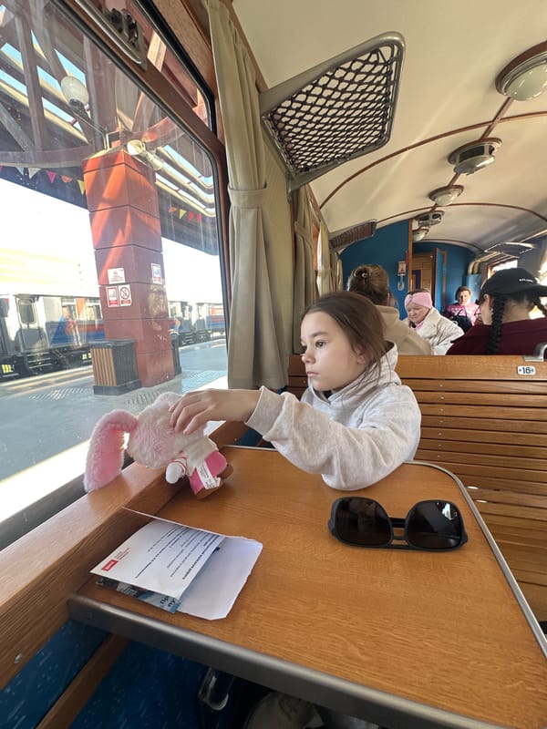 Girl plays with stuffed rabbit on train in Yekaterinburg