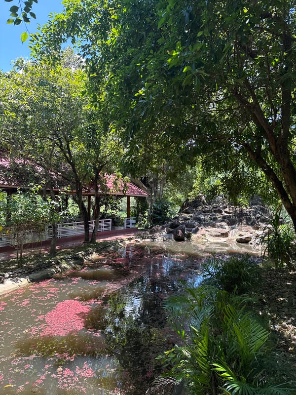 Peaceful garden dining area documented in Nam Khanh Vinh