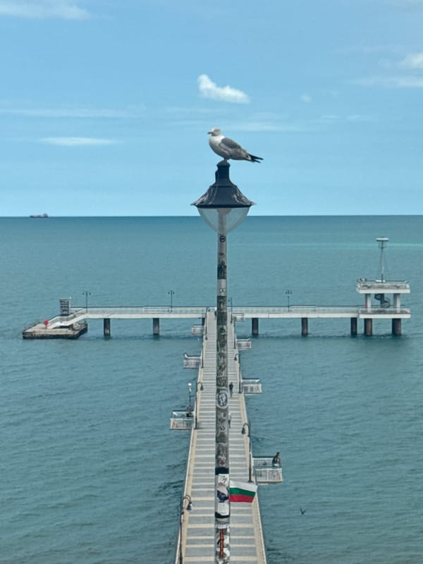 Overcast day documented at Burgas Sea Garden waterfront