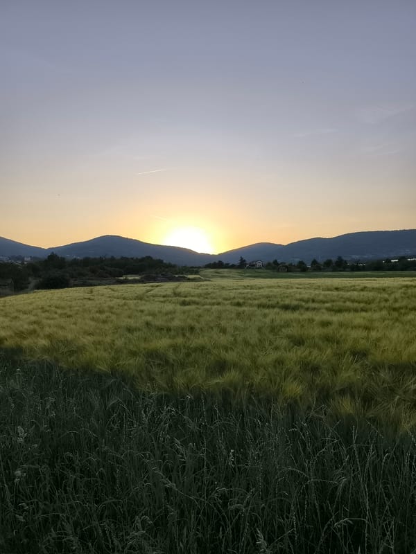 Evening agricultural scenes documented across Pélussin, France countryside