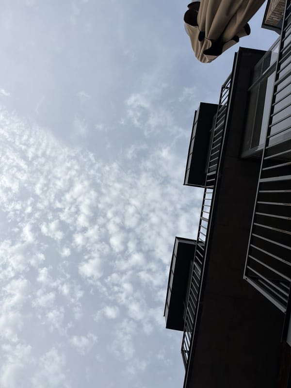 Chilling on a wooden deck in Strelna, summer afternoon