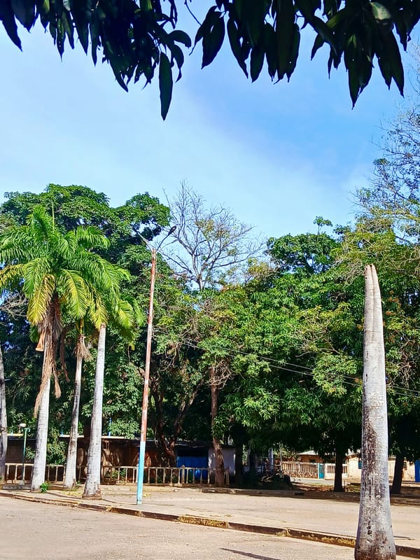 Quiet evening moments documented in La Tagua, Venezuela