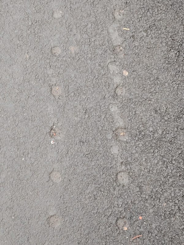 Early morning street observations recorded in Sarapul, Russia