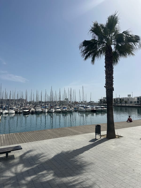 Morning moments captured at Alicante marina waterfront