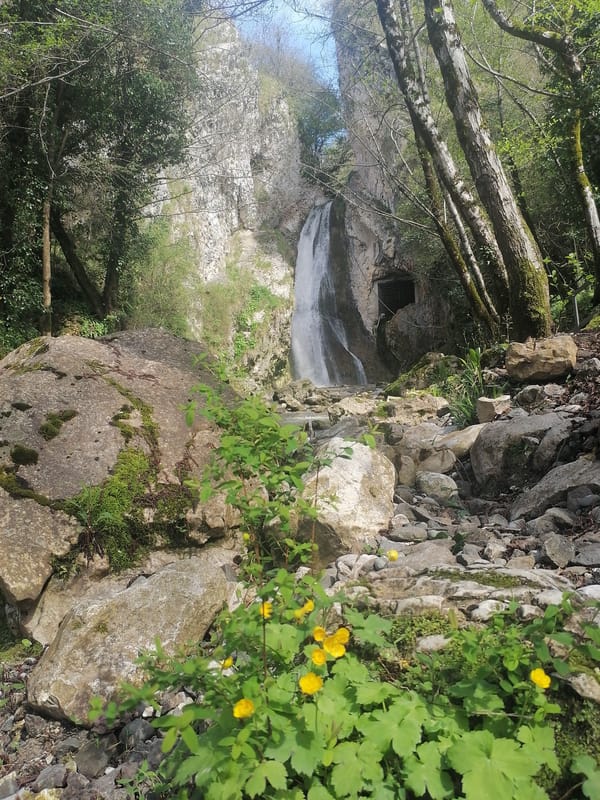 Tourist documents New Athos waterfalls and railway infrastructure