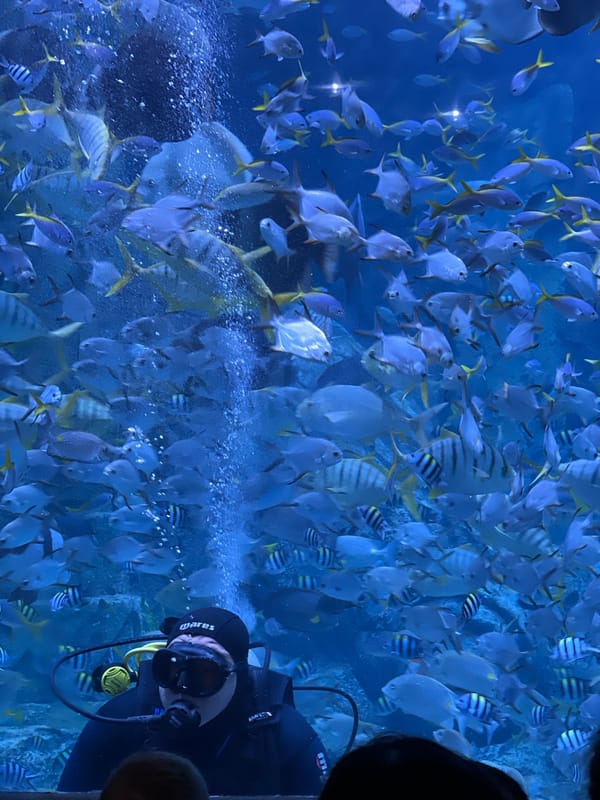 Tourist visits greenhouse complex in Nha Trang, Vietnam