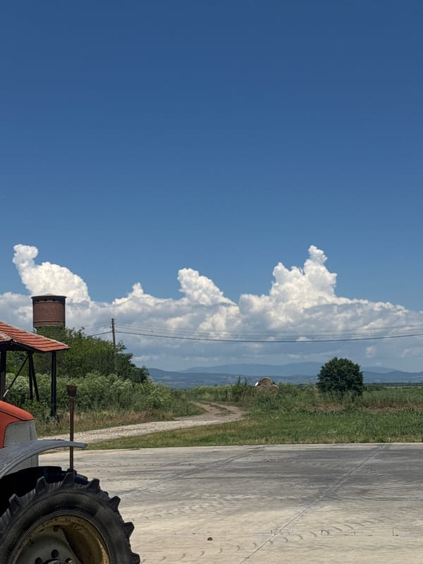 Rural farming operations documented in Sarnevo, Bulgaria