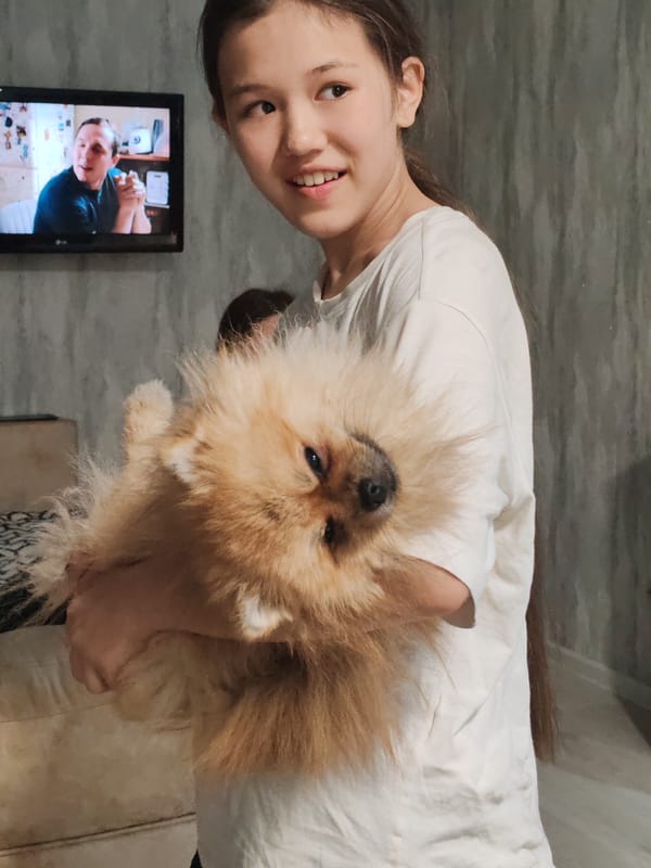 Lazy afternoon at home with a Pomeranian in Russia