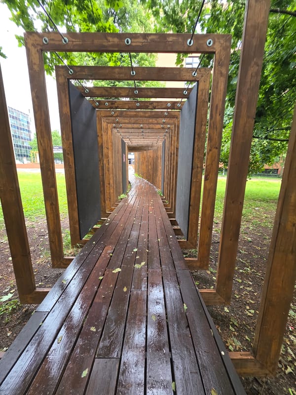 Wooden tunnel structure photographed from elevated perspective