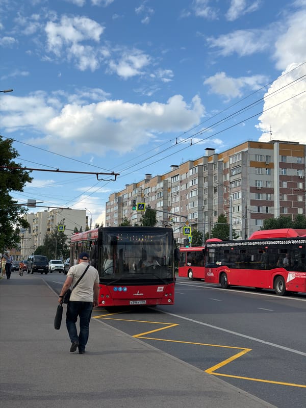 Summer day scenes: city buses, blooming flowers, forest paths