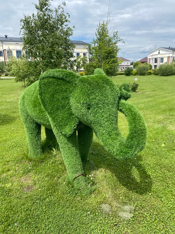 Summer morning at a Tyumen park with playground and topiary