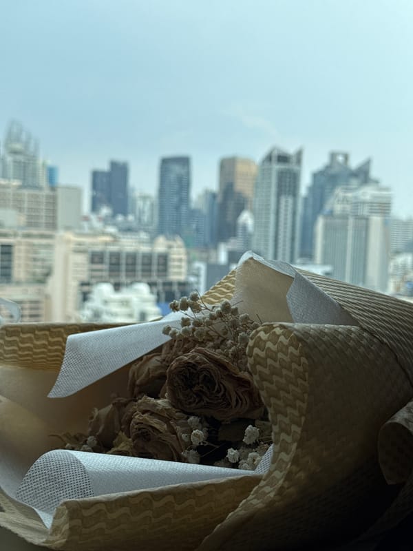 Bangkok resident documents home interior and city views