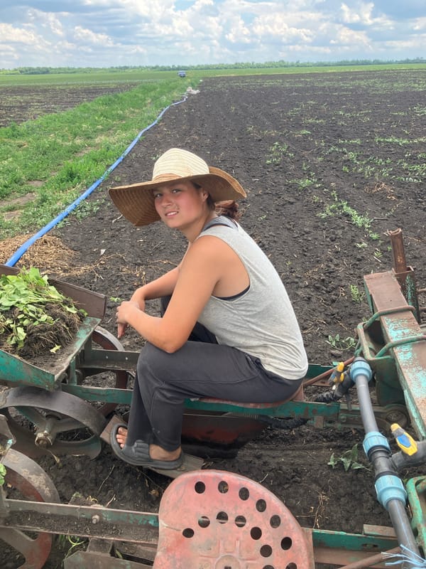 Spring planting season underway in Ukrainian agricultural fields