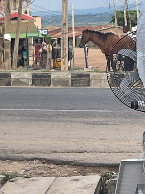 Horses and street life share space on a busy urban road.