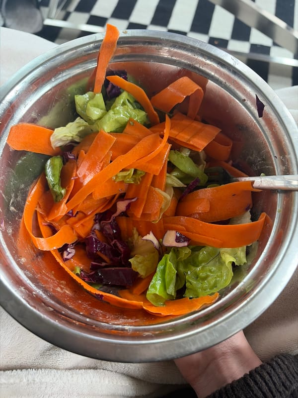 Mixed vegetable salad photographed in silver bowl in Montreal