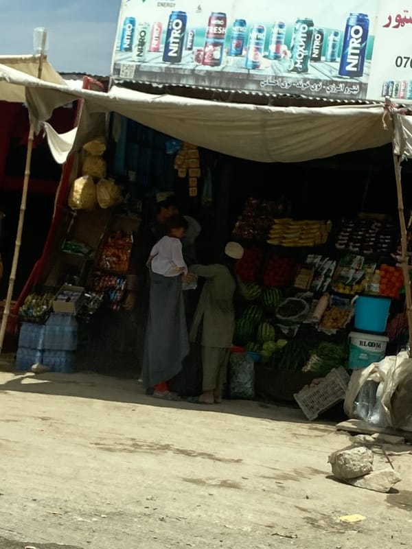 Roadside fruit stand operates in Afghan village