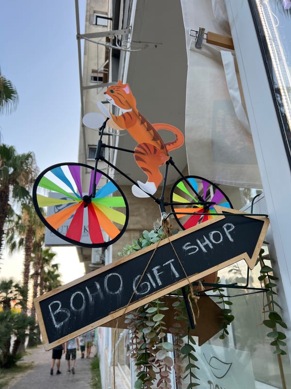 Pigeons, palm trees, and a cardboard tiger in Bar