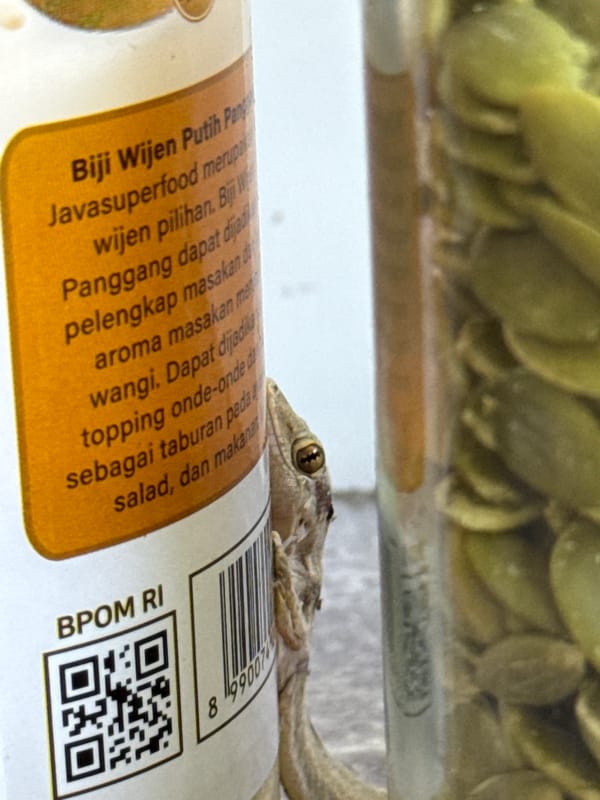 House gecko spotted on Indonesian sesame seed containers