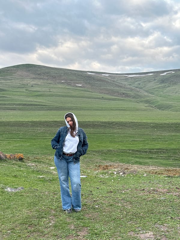 Pastoral scenes with sheep flock documented in Hrazdan, Armenia