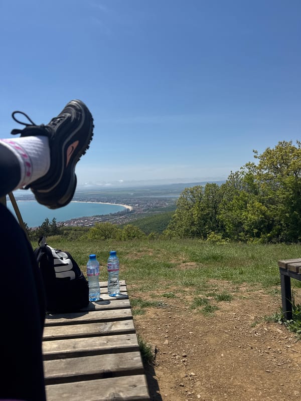 Person sits on bench overlooking coastal city waterfront