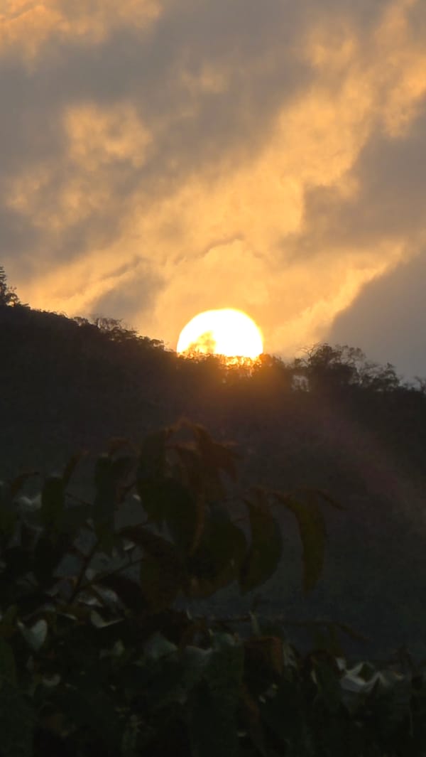 Evening sunset and wildlife captured at Vietnam heritage area
