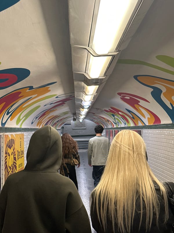 Colorful mural artwork spotted inside Paris Metro car