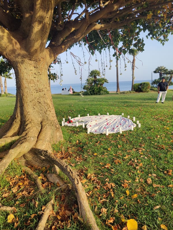 Dog meetup and romantic gesture at a waterfront park