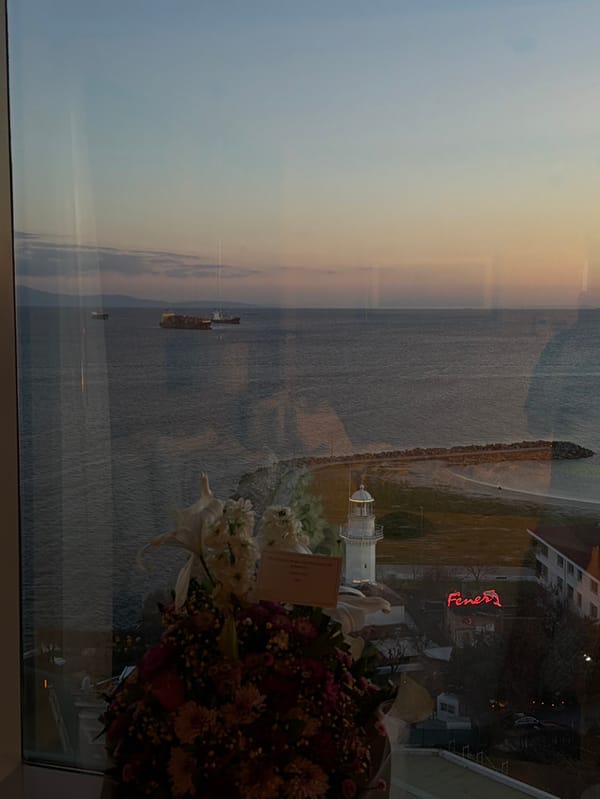 Marmara Sea coastline observed at dusk from Bakırköy window