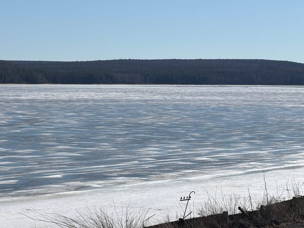 Spring ice breakup observed on Chaikovsky reservoir