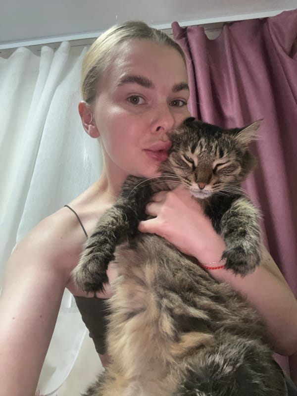 Fluffy tabby cat photographed up close in Tikhoretsk