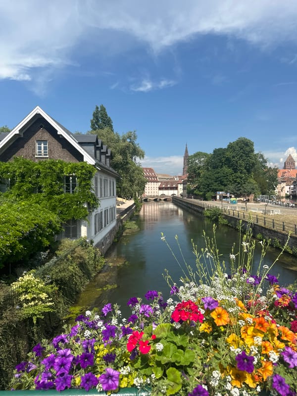 Wisteria and canal reflections along Strasbourg's Petite France